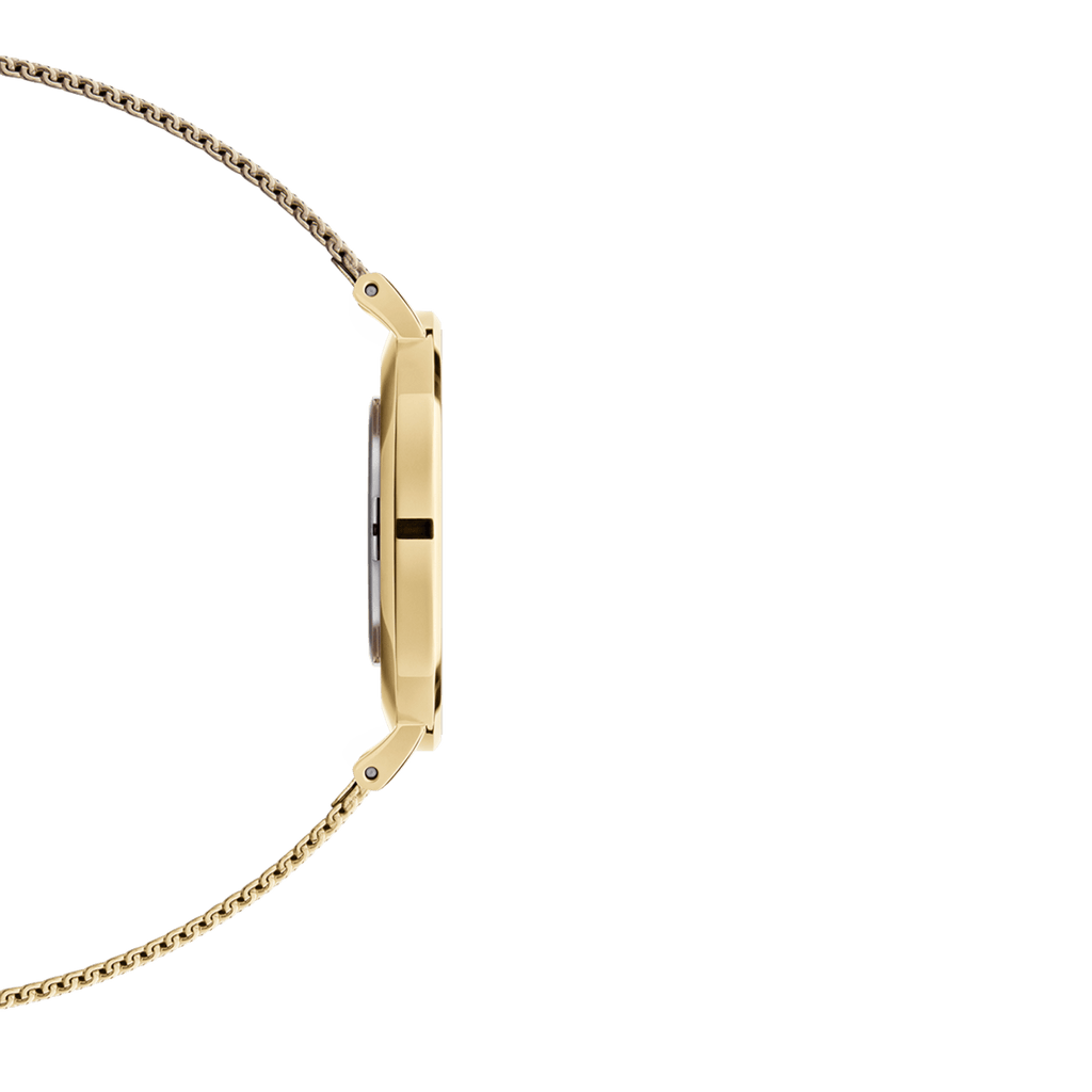 DW Petite Evergold Black Watch